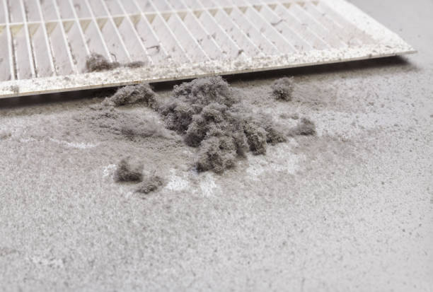 Best Best Air Duct Cleaning Company  in Robbinsdale, MN
